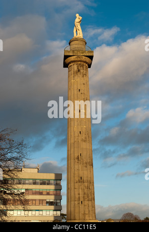 Lord Hill's Column à Shrewsbury Banque D'Images