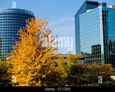 Centre-ville de Grand Rapids, Michigan USA une journée d'automne. Il y a de beaux bâtiments de style contemporain, aux couleurs vives et d'arbres. Banque D'Images