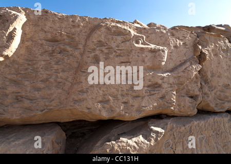 Close up of babouin sculptés sur bloc en ruine de temple des singes période de pharaon Seti I à Kom el Sultan à Abydos Moyenne Égypte Banque D'Images