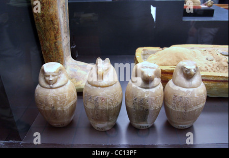 Vases canopes au Musée du Vatican Banque D'Images