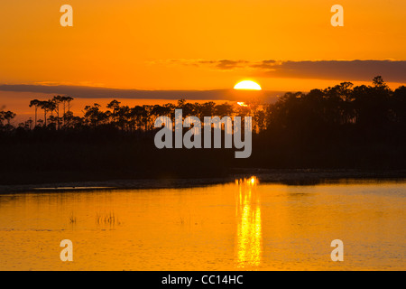 Coucher de soleil sur St Marks National Wildlife Refuge sur la côte du golfe du Mexique de la Floride Banque D'Images