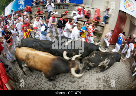 La foule courir avec les taureaux pendant le festival annuel de San Fermin (aka la course de taureaux à Pampelune, Espagne). Banque D'Images