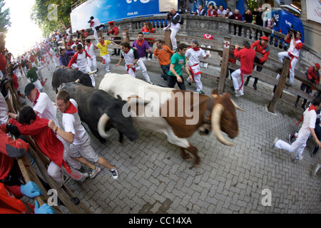 La foule courir avec les taureaux pendant le festival annuel de San Fermin (aka la course de taureaux à Pampelune, Espagne). Banque D'Images