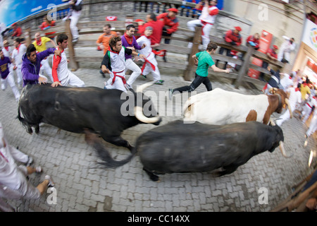 La foule courir avec les taureaux pendant le festival annuel de San Fermin (aka la course de taureaux à Pampelune, Espagne). Banque D'Images