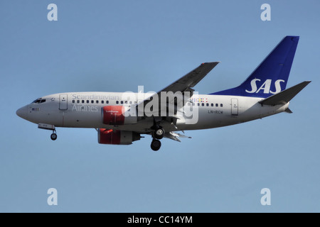 SAS Scandinavian Airlines Boeing 737-600 (LN-RCW) Terres à l'aéroport Heathrow de Londres, Angleterre. Banque D'Images