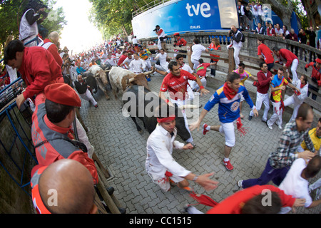 La foule courir avec les taureaux pendant le festival annuel de San Fermin (aka la course de taureaux à Pampelune, Espagne). Banque D'Images