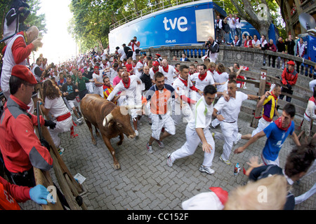 La foule courir avec les taureaux pendant le festival annuel de San Fermin (aka la course de taureaux à Pampelune, Espagne). Banque D'Images