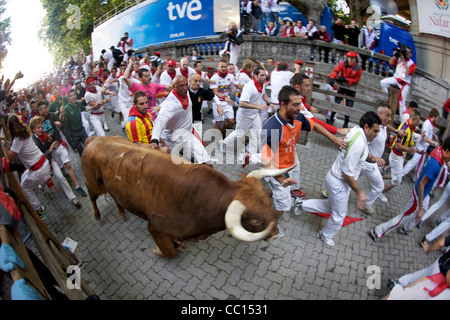 La foule courir avec les taureaux pendant le festival annuel de San Fermin (aka la course de taureaux à Pampelune, Espagne). Banque D'Images