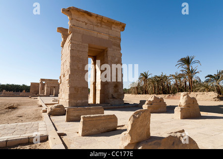 Vue sur l'Avenue de sphinx de l'Hibis Temple, l'ancienne capitale de Kharga Oasis, Désert occidental de l'Égypte Banque D'Images