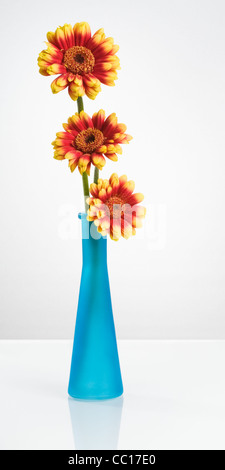 Vase en verre contenant gerbera orange et jaune fleurs Daisy Banque D'Images