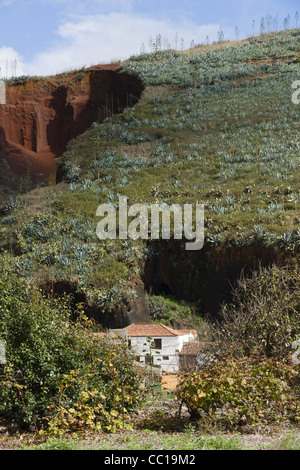 Extrait de la colline de La Montañeta, Las Portelas, Tenerife, avec plantations d'aloe vera sur le dessus. Banque D'Images