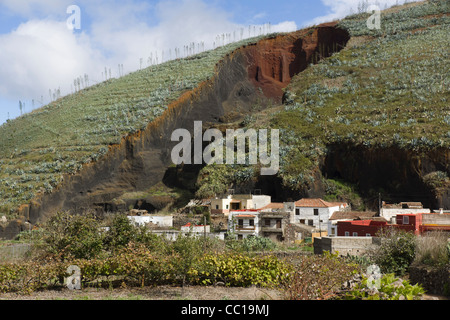 Extrait de la colline de La Montañeta, Las Portelas, Tenerife, avec plantations d'aloe vera sur le dessus. Banque D'Images