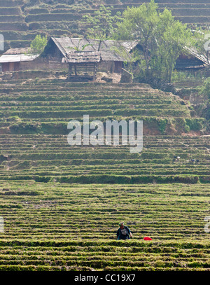 Une femme dans le costume traditionnel de la tribu H'Mong noire travaillant dans une rizière avec son village derrière Banque D'Images