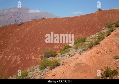 Paysage désertique de la Vallée du Río las Conchas dans la Quebrada de Cafayate, Province de Salta, Argentine Banque D'Images