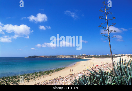 Plage de l'Algarve dans le soleil d'été Martinhal beach près de Sagres Algarve Portugal Europe de l'UE Banque D'Images