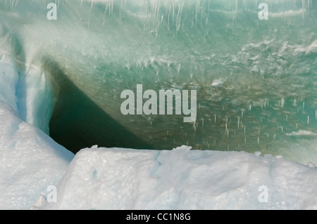 Stalactites de glace, mer de Weddell, l'Antarctique Banque D'Images