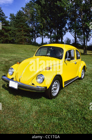 Volkswagen 1975 sur herbe Banque D'Images