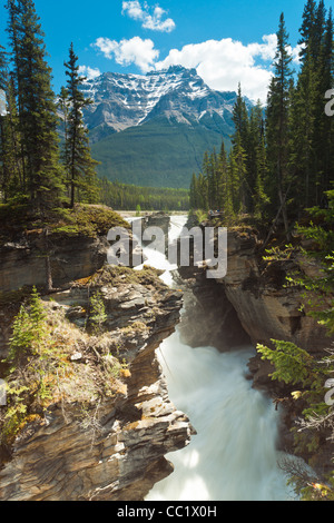 Les chutes Athabasca avec Mont Kerkeslin en arrière-plan. Le Parc National Jasper, Alberta, Canada. Banque D'Images