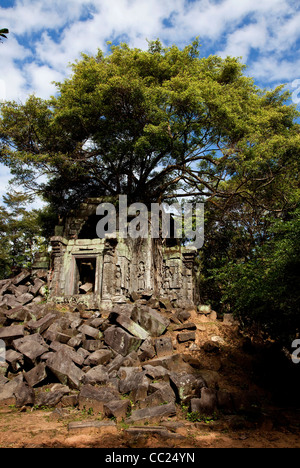 Beng Mealea, le temple dans le style d'Angkor Wat situé à l'est du principal groupe de temples à Angkor, au Cambodge, en Asie Banque D'Images