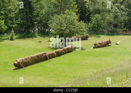 Les montagnes Rarau partie de l'Est des Carpates, Bucovine du Sud, Roumanie Banque D'Images