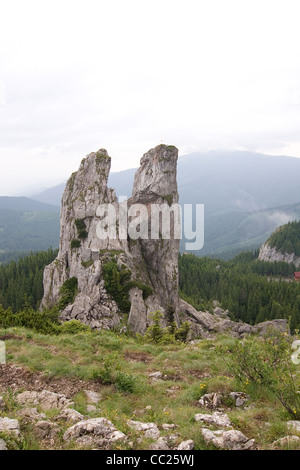 Les montagnes Rarau partie de l'Est des Carpates, Bucovine du Sud, Roumanie Banque D'Images