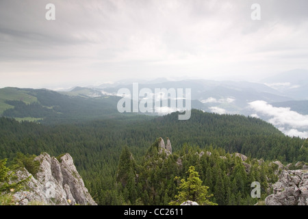 Les montagnes Rarau partie de l'Est des Carpates, Bucovine du Sud, Roumanie Banque D'Images