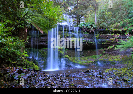 Russell Falls - terre des géants de camping, Tasmanie Banque D'Images