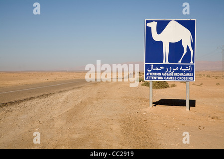 Signe de chameau, Tunisie. Banque D'Images