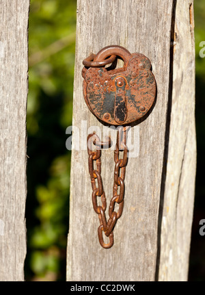 Rusty cadenas anciens et fixation de la chaîne d'une porte de jardin Banque D'Images