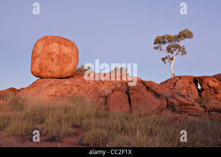 Lumière du soir sur les rochers de granit rouge et de gommes ghost le Devil's Marbles salon en Australie dans le Territoire du Nord. Banque D'Images