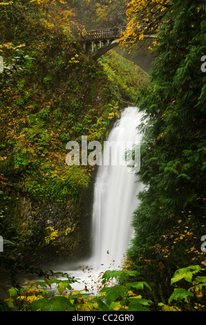 Multnomah Falls dans la gorge du Columbia Banque D'Images