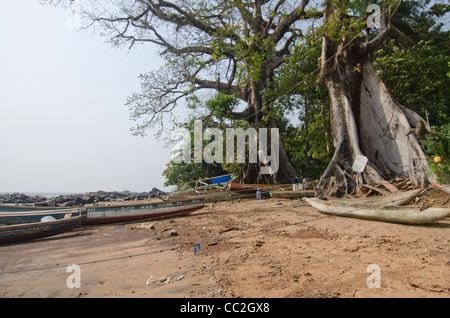 Plage sur Dalton dans les îles de la banane, de la Sierra Leone Banque D'Images