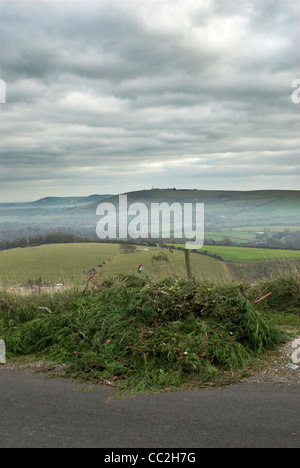 Les déchets déversés dans le parc national des South Downs. Banque D'Images