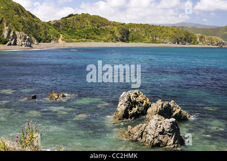 Disjoncteur Bay, Wellington, Nouvelle-Zélande. Banque D'Images