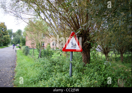 Un panneau d'avertissement de passage à niveau de grenouilles, "Méfiez-vous de la grenouille', Mechelen, Belgique Banque D'Images