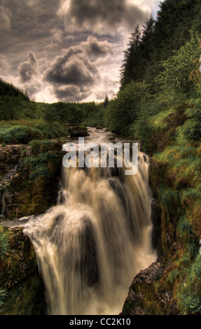 Cascade de la nuque Falls, fleuve Severn, la forêt de Hafren, au Pays de Galles Banque D'Images