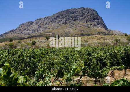 Franschhoek Banque D'Images