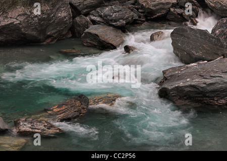 Rapides sur la Makarora River aux portes de Haast à Haast Pass, Nouvelle-Zélande Banque D'Images