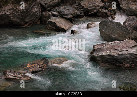 Rapides sur la Makarora River aux portes de Haast à Haast Pass, Nouvelle-Zélande Banque D'Images