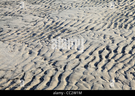 Des modèles dans le sable, plage de Bamburgh North East England UK Banque D'Images