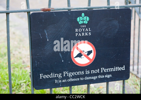 Close-up de panneau interdisant l'alimentation des pigeons, Hyde Park, Londres. Banque D'Images