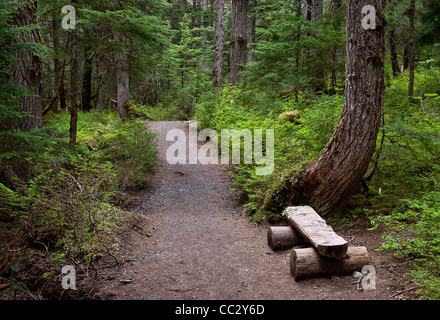 Sentier de randonnée de gagnant, la Forêt Nationale de Chugach,, Alaska, USA Banque D'Images