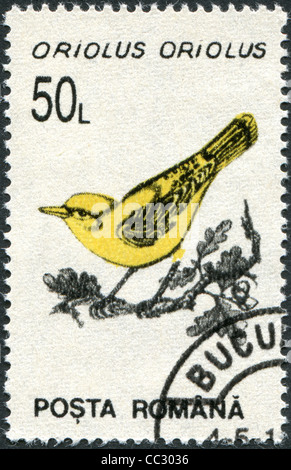 Roumanie - circa 1993 : timbre imprimé en Roumanie, présente le loriot (Oriolus oriolus), vers 1993 Banque D'Images