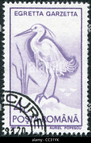 Roumanie - circa 1991 : timbre imprimé dans la Roumanie, montre l'Aigrette garzette (Egretta garzetta), vers 1991 Banque D'Images