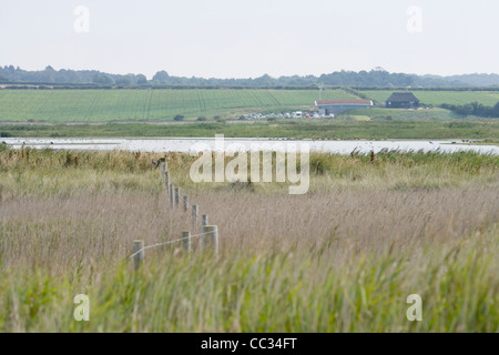 Le CLAJ Norfolk Wildlife Trust, la Réserve Naturelle des Marais. Voir Centre d'accueil de de masquer à l'échelle du Nord. Banque D'Images