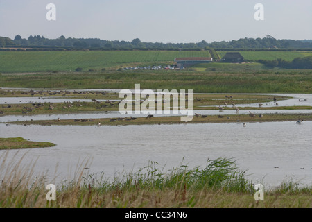 Le CLAJ Norfolk Wildlife Trust, la Réserve Naturelle des Marais. Voir Centre d'accueil de de masquer à l'échelle du Nord. Banque D'Images