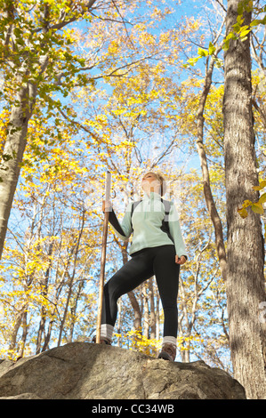 USA (New Jersey), Female hiker resting on rock in forest Banque D'Images