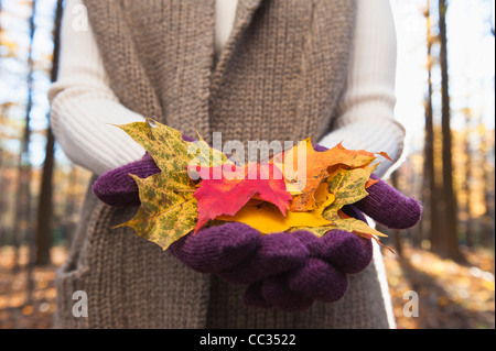 USA (New Jersey), Woman holding feuilles en automne forêt, mid section Banque D'Images