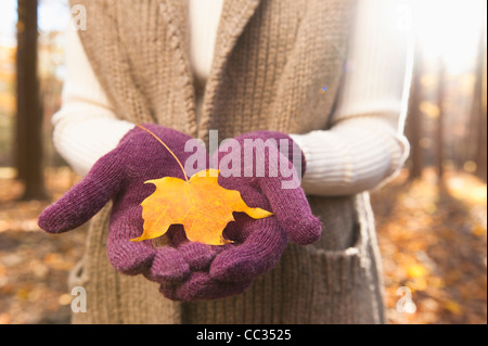 USA (New Jersey), Woman holding feuilles en automne forêt, mid section Banque D'Images