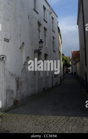 Street, boutique, building ruelle Bruges Belgique Banque D'Images